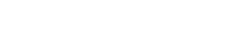 Synergetica Logo